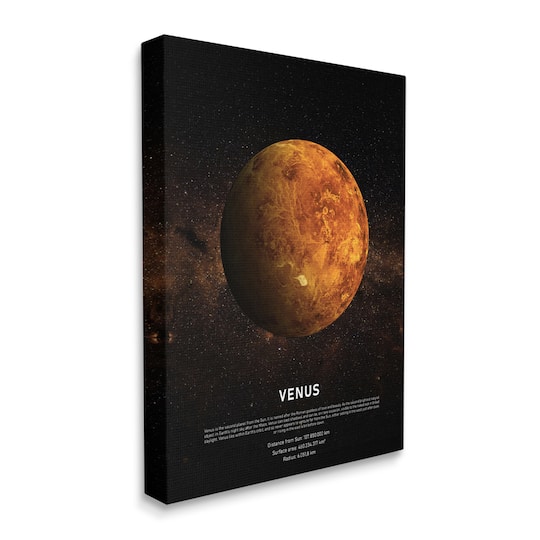Stupell Industries Venus Planet Infographic Milky Way Astrological Facts Canvas Wall Art